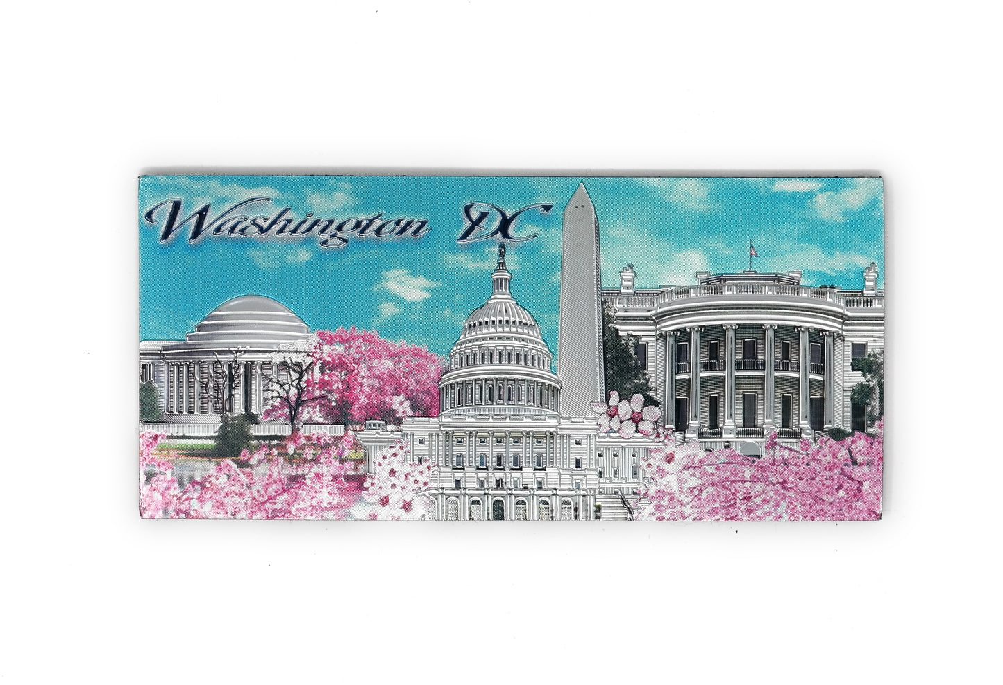 Washington DC Cherry Blossom Fridge Magnet